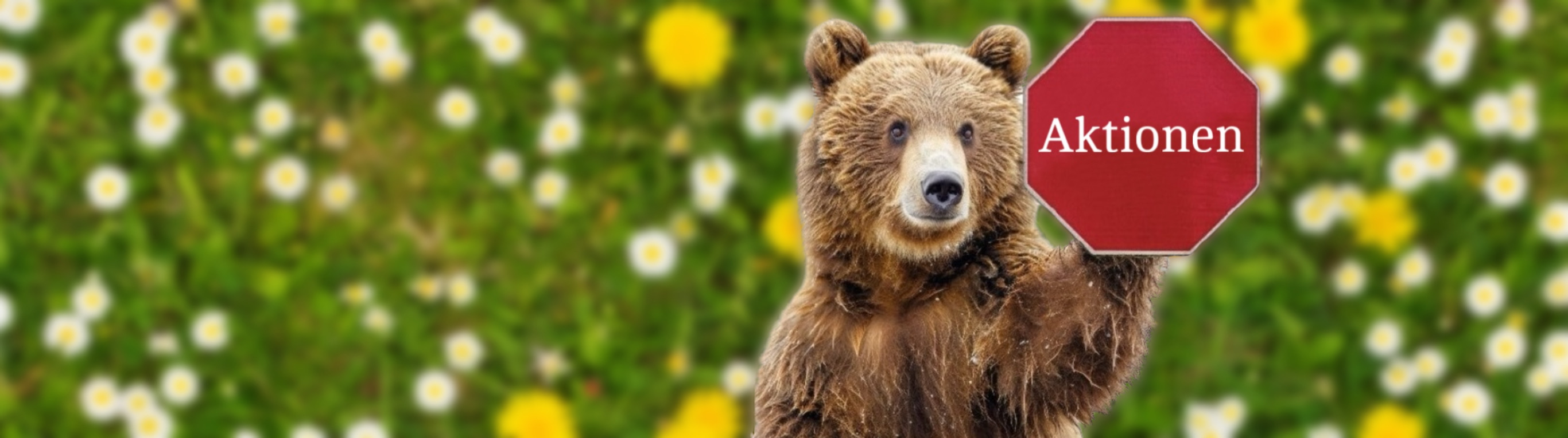 Immer auf dem neusten Stand! 